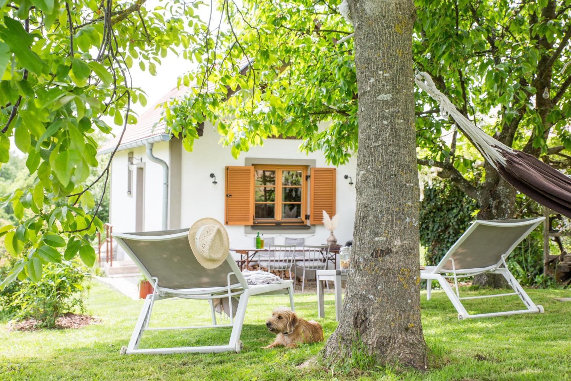 Weinlofts Weinloft I Villa Edlitz im Burgenland Eksteriør billede