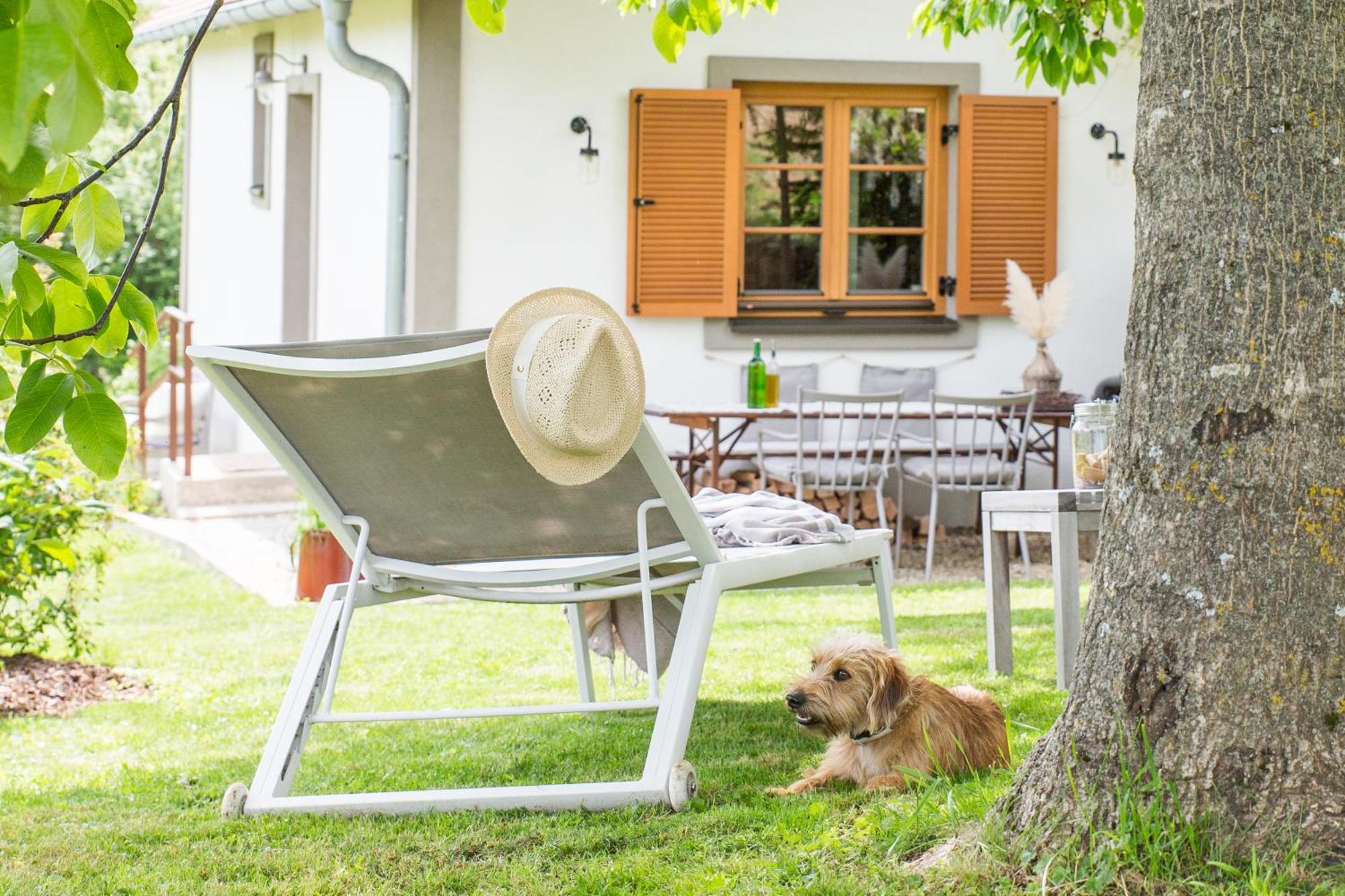 Weinlofts Weinloft I Villa Edlitz im Burgenland Eksteriør billede